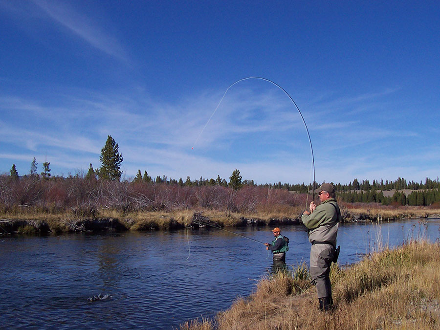 Montana Walk/Wade Trips, Wild Trout Outfitters