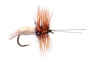 Gooddard Caddis